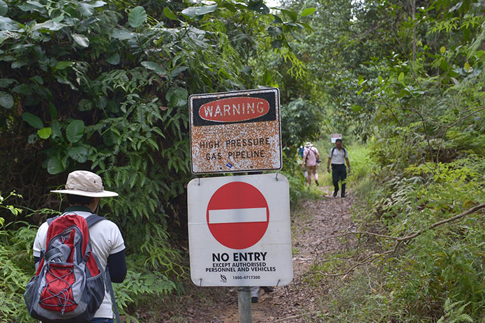 The entrance to the walking track along the bridge is marked with a no entry sign. Only those going with a guided walk will be allowed to enter the protected area. PHOTO: ST FILE